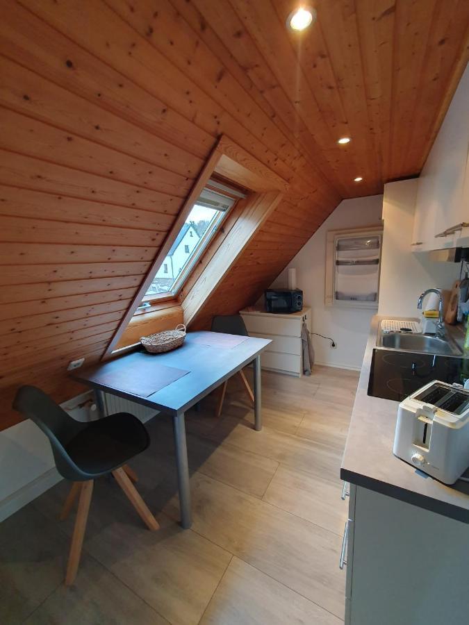 Ferienwohnung Haenel Antonshohe 外观 照片