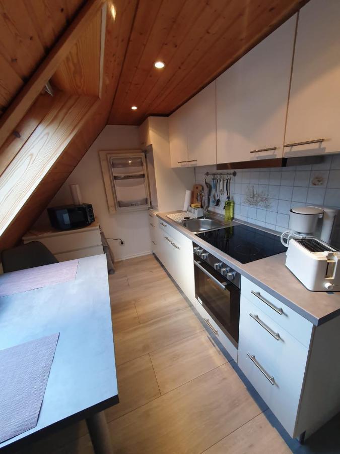 Ferienwohnung Haenel Antonshohe 外观 照片