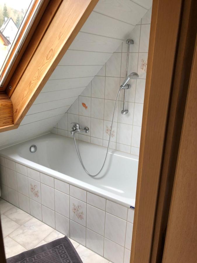 Ferienwohnung Haenel Antonshohe 外观 照片