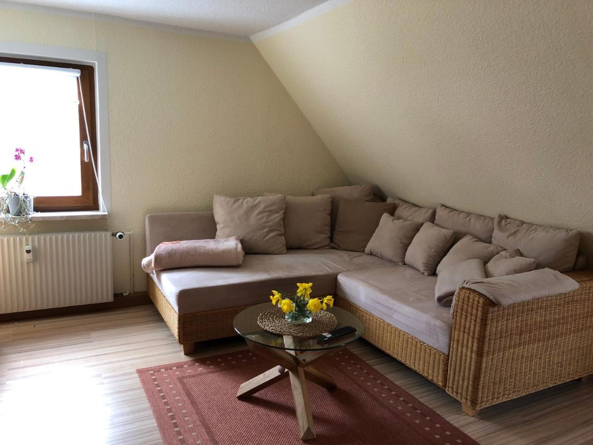 Ferienwohnung Haenel Antonshohe 外观 照片